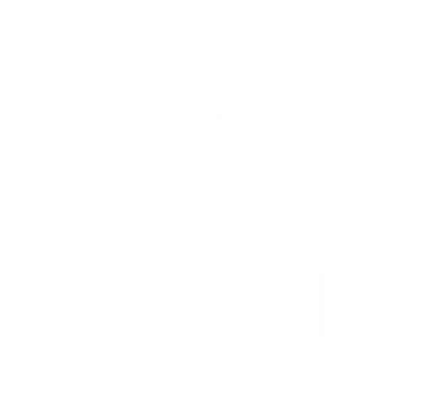 AniShip